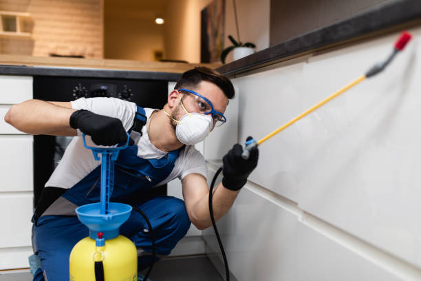 Best Wildlife Control Services  in Toledo, IL