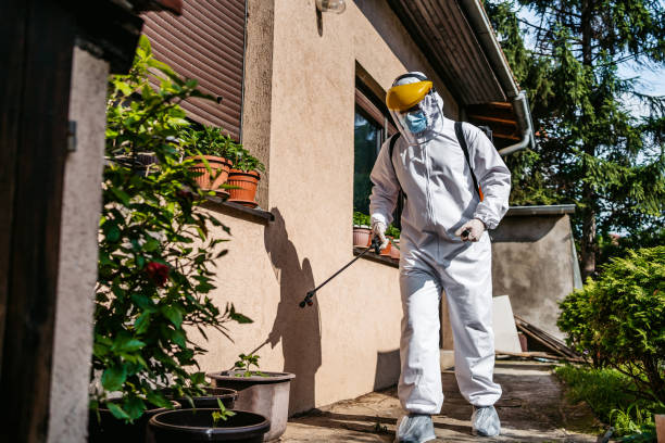 Best Ant Control Services  in Toledo, IL