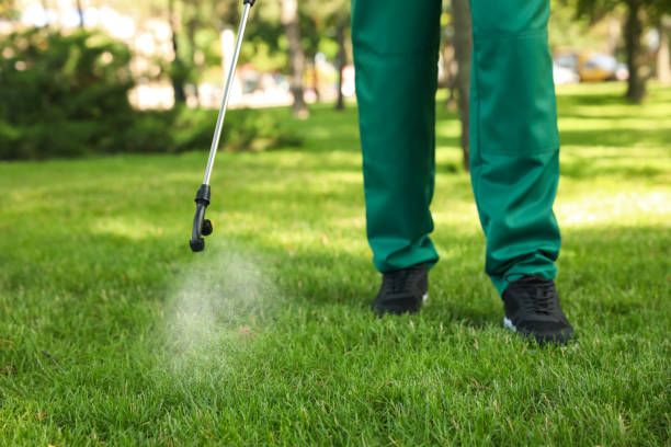 Flea Control Services in Toledo, IL