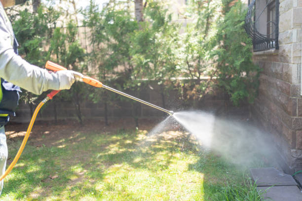 Best Pest Prevention Services  in Toledo, IL