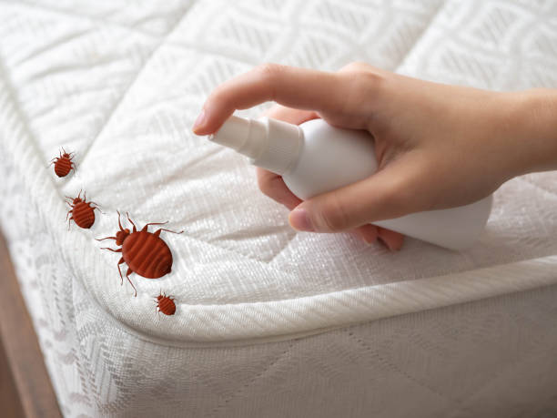 Best Pest Control for Restaurants  in Toledo, IL