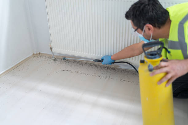 Professional Pest Control in Toledo, IL