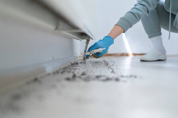 Best Bird Control  in Toledo, IL