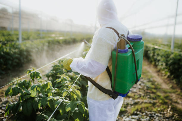 Best Affordable Pest Control Services  in Toledo, IL